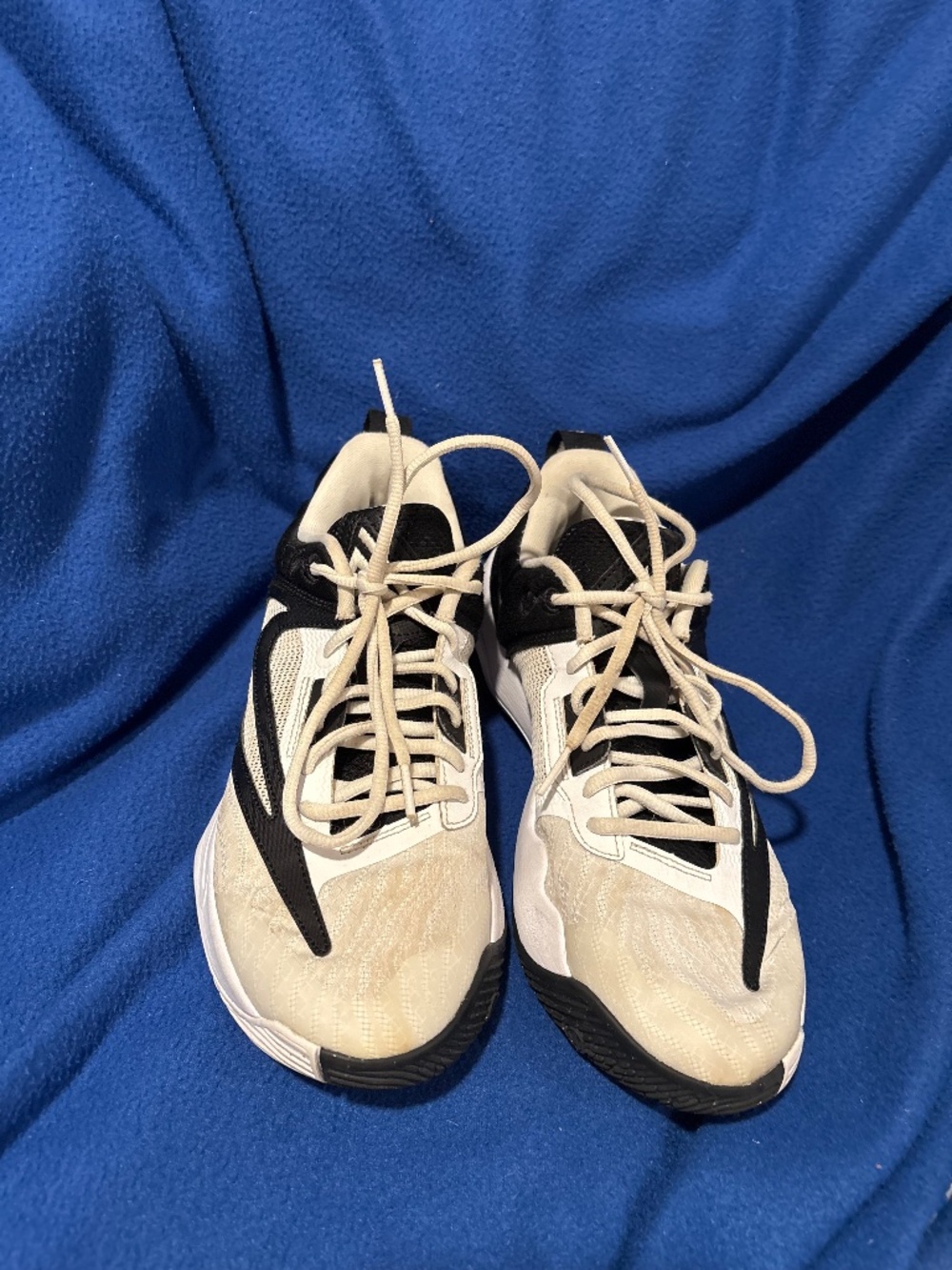 NikevGiannis men’s basketball shoe